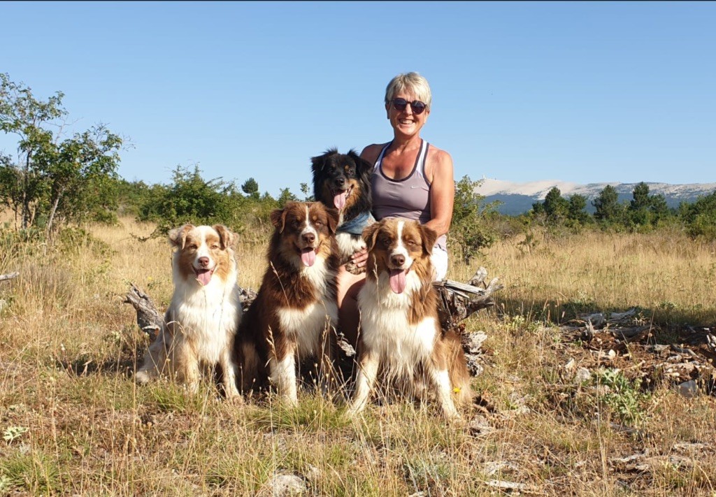 Upon little dark des bergers des Alpilles