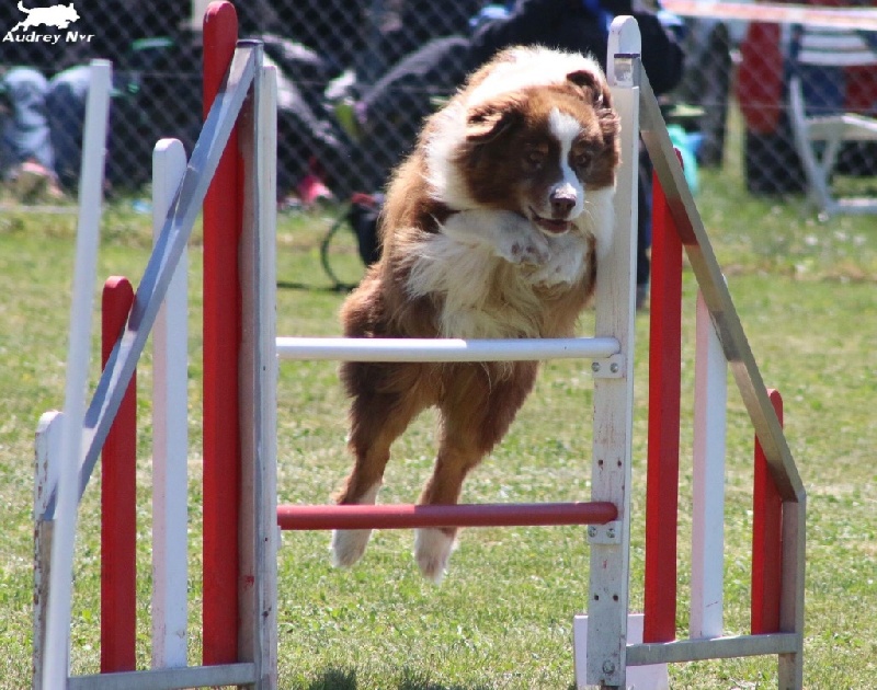 AGILITY 